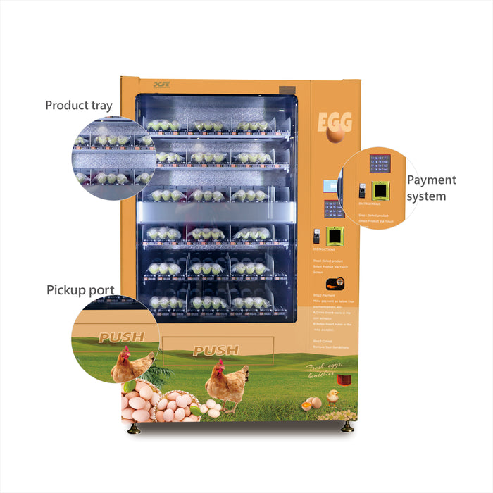 Egg vending machine comes with a lift system——XY-SLE-10C